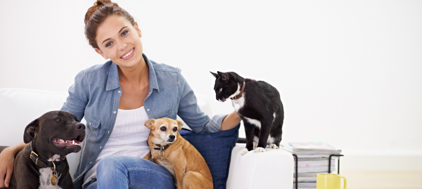 Trusted Pet Grooming Services and Best Pet Groomers in Boston