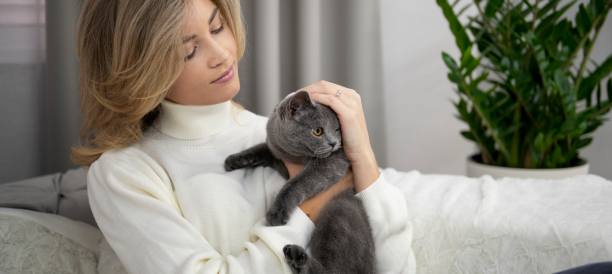 Top Cat Grooming Services and Cat Groomers in Jersey City