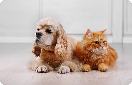 Community and Culture