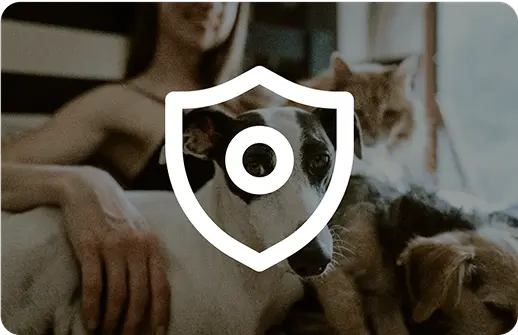 Book Your Appointment