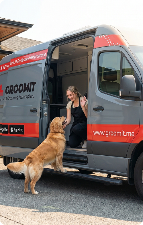 Groomit van with a groomer and dog
